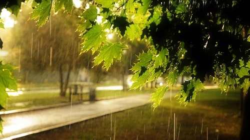 Погода в Хакасии 11-13 мая: все плачет, но плачет с подогревом