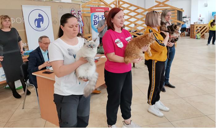 Международная выставка кошек в Абакане