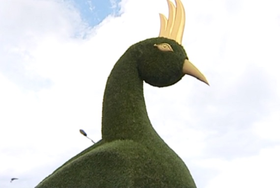 Фигуру райской птицы установили в новом сквере Абакана