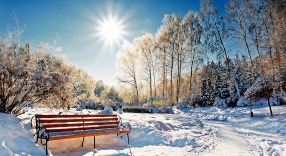Погода в Хакасии 21 декабря: Возвращается солнце