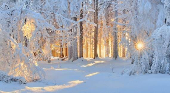 Погода в Хакасии 1 февраля: Зима идет к концу