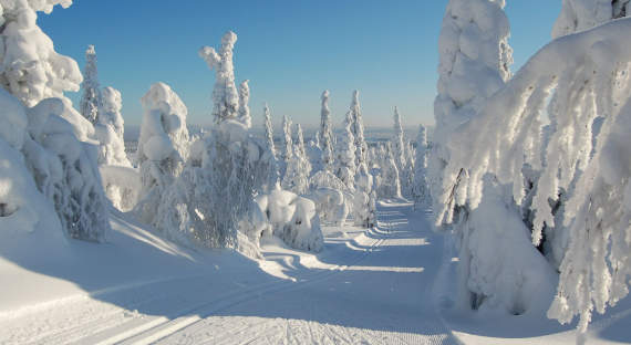 Погода в Хакасии 6 января: Небольшой снежок и почти полный штиль