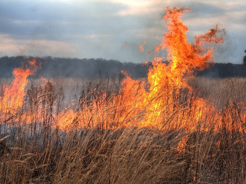 Мусор и трава все горят в Хакасии: 20 пожаров за сутки