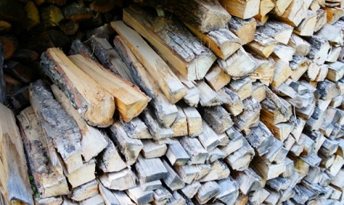 У национального парка «Шушенский бор» за одну ночь украли все дрова