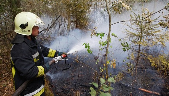 Москва и Хакасия сблизили позиции по теме готовности к пожарам