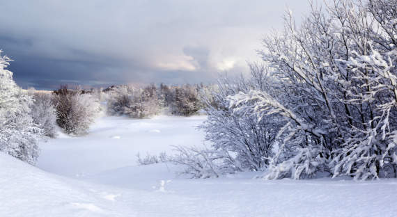 Погода в Хакасии 24 февраля: Та же прохлада, плюс снег
