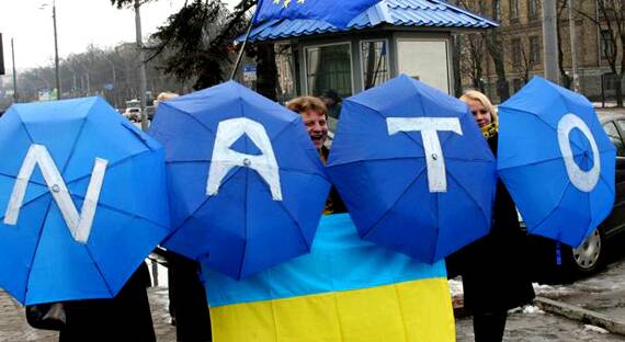 В Киеве возмутились из-за идеи «частичного членства» в НАТО