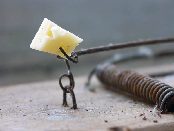 Жительница Хакасии лишилась денег, поверив в схему получения "пассивного дохода"