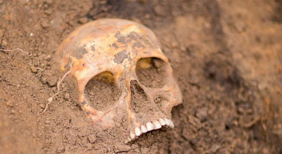 В Абакане обнаружили человеческие останки