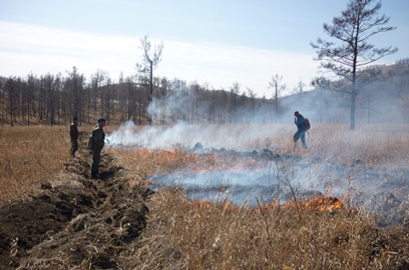 В лесах Хакасии снова тушат пожары