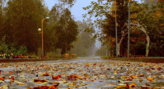 Погода в Хакасии 1 октября: Октябрь начинается с дождя
