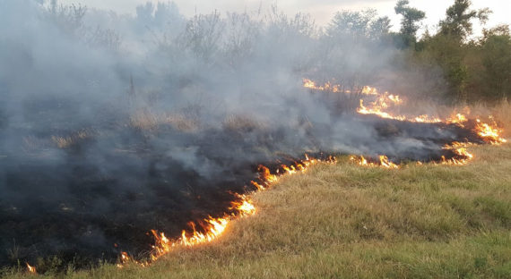 Жители Хакасии опять пытаются её сжечь