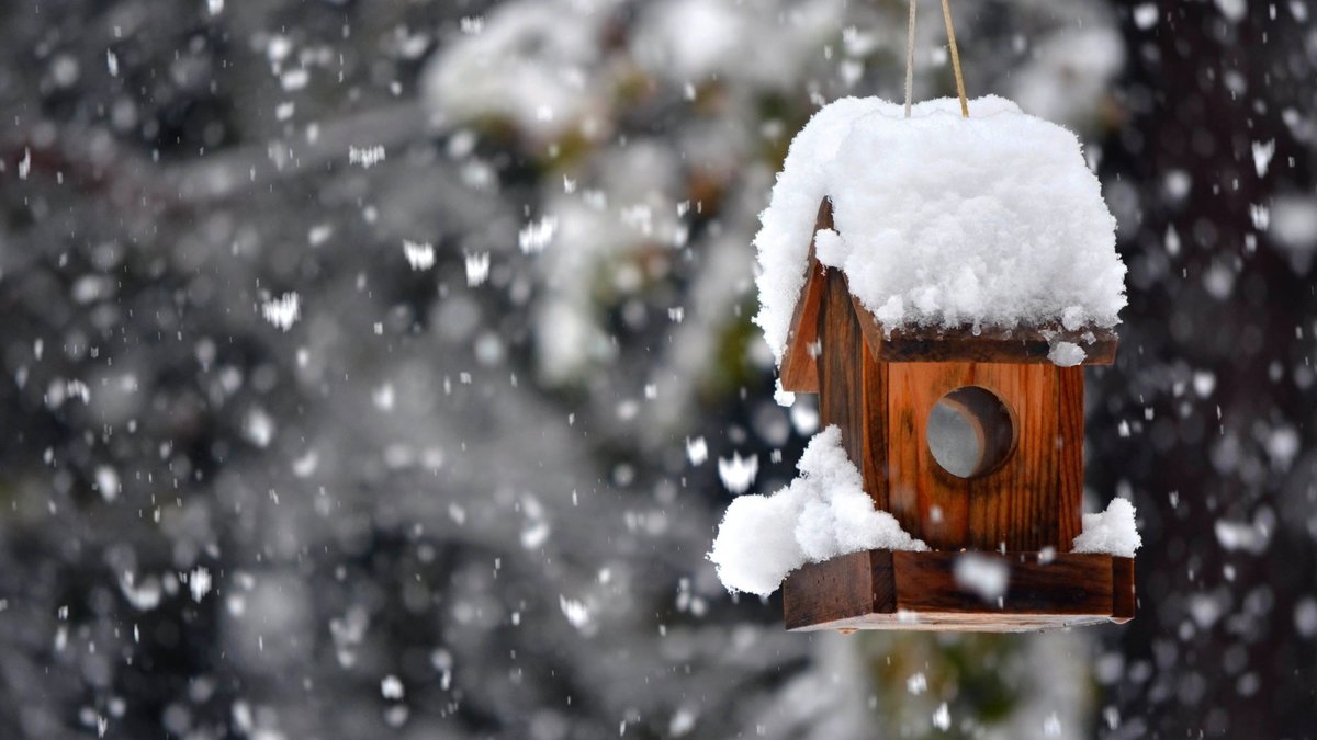 Погода в Хакасии 14 декабря: прогнозом не согреешься!