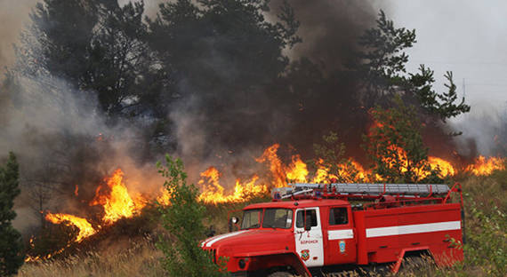 В Забайкалье и Амурской введен режим ЧС из-за лесных пожаров