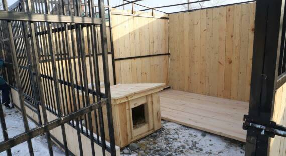 26 новых вольеров построили в саяногорском приюте для животных