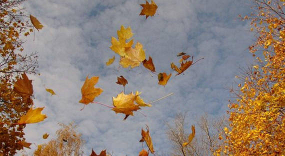 Погода в Хакасии 7 октября: Ветер выдувает тепло из республики