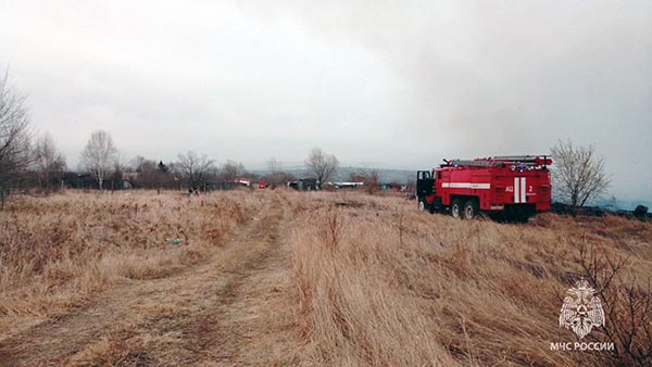 Степной пожар площадью 5 квадратных километров тушили в окресностях Подсинего