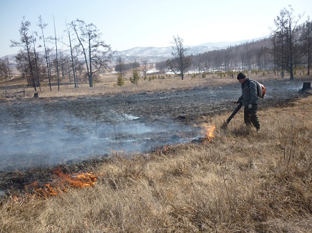 В Хакасии снова горит лес