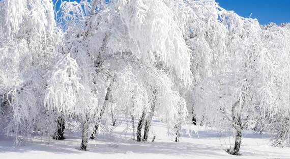 Начало декабря в Хакасии стало самым холодным за 12 лет