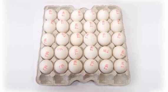 ФАС возбудила дело против четырех производителей куриных яиц в Волгоградской области