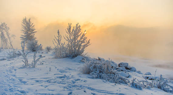 Погода в Хакасии 31 января: Дед Мороз снова в Хакасии