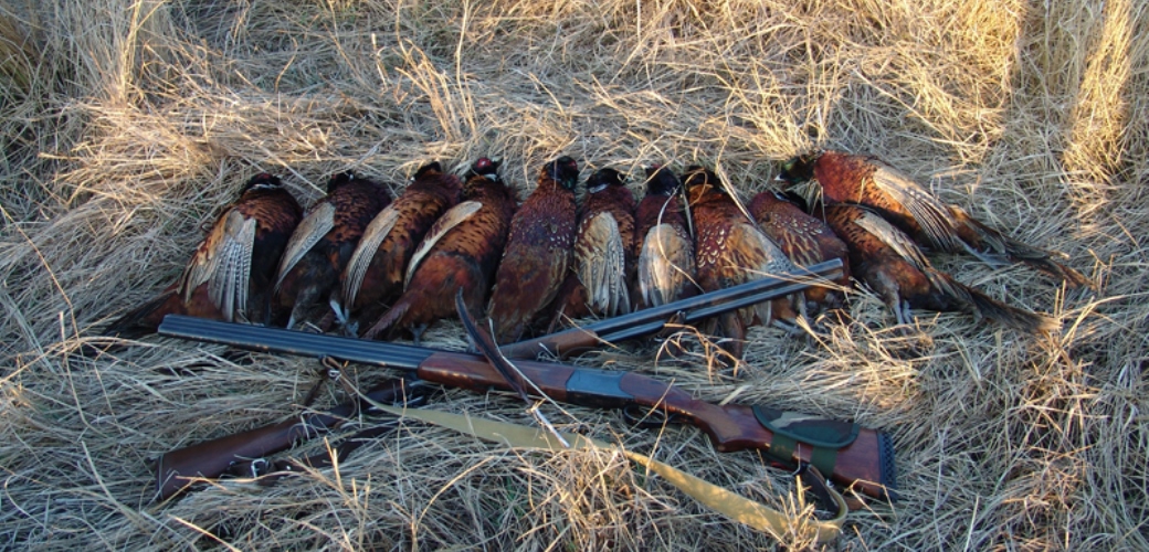 В Хакасии наказано охотничье хозяйство "Тигули"