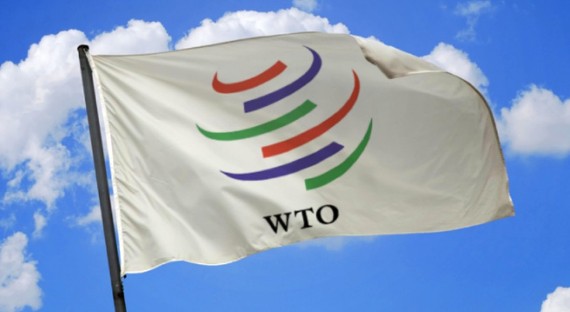 ВТО рассматривает возможность введения санкций против России