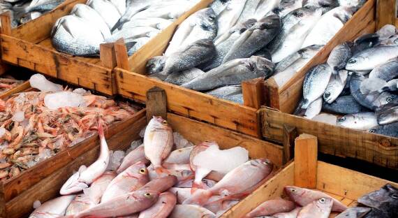 Кабмин РФ запретил ввоз рыбы из недружественных стран