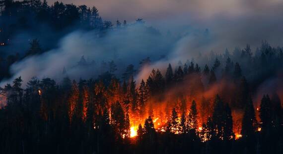 В лесах Хакасии введен режим ЧС из-за пожаров
