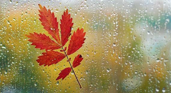 Погода в Хакасии 9 сентября: Дожди захватывают республику