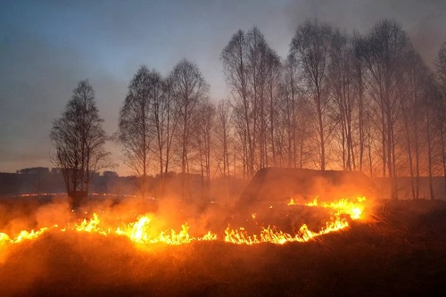 Хакасия подготовилась к возможным природным пожарам
