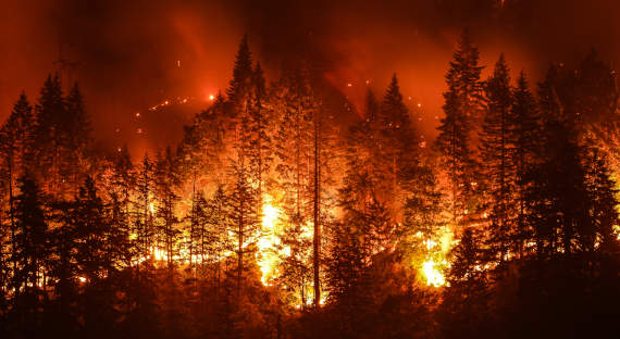 Пожар уничтожил деревню в Канаде, где зафиксировали 50-градусную жару