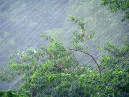 Жителям Хакасии обещают дождливые выходные