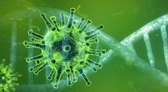 Ученые: У коронавируса «нестандартная» температура гибели