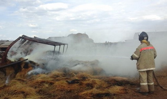 В Хакасии на выходных сгорели автомобиль и сено