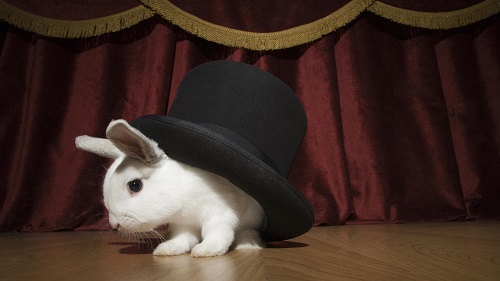 Британский фокусник заметил аллергию на кроликов спустя 28 лет