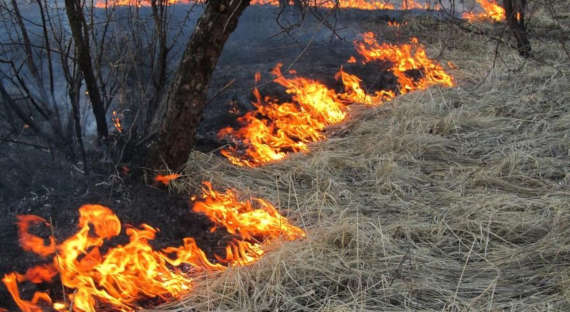 Пожары в Хакасии: поджигатели наносят ответный удар