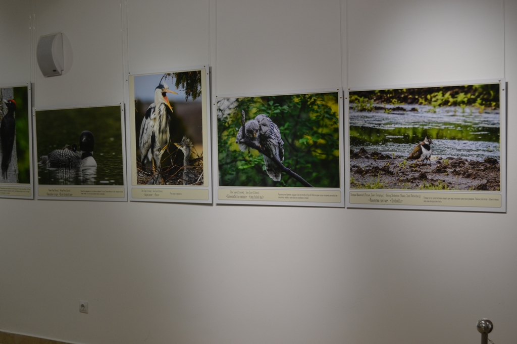 Выставка работ фотографов со всего мира открылась в Хакасии