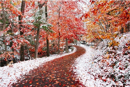 Погода в Хакасии 1-2 октября: оскал зимы в улыбке осени
