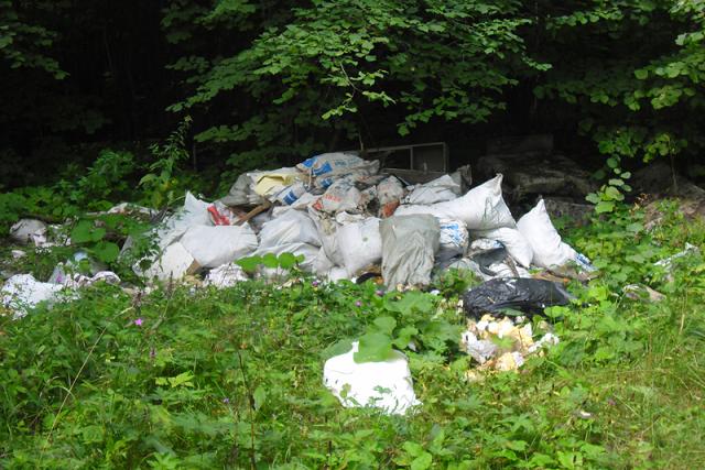 ОНФ предлагает заставить муниципалитеты убирать свалки в лесах