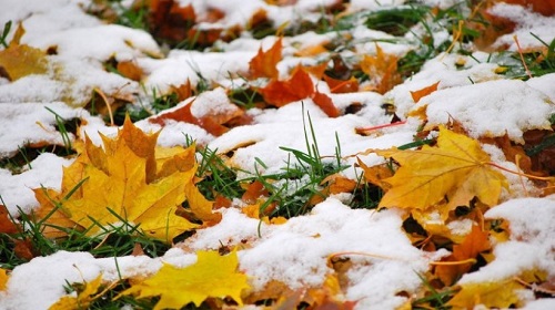 Погода в Хакасии 18-19 ноября: осень пускает холод в гости только по ночам