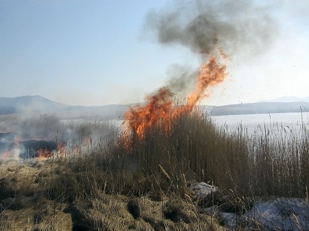 Локализован пожар на участках заповедника "Хакасский"