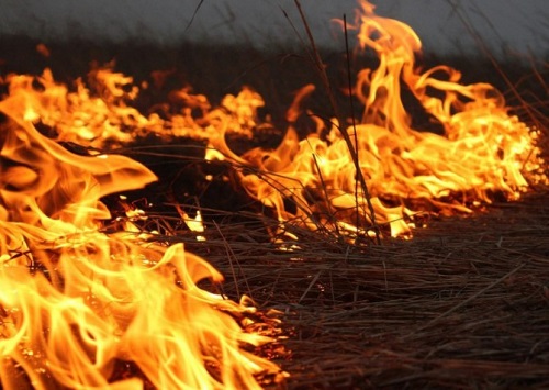 За выходные в Хакасии произошло 4 пожара: горело и жилье, и сено