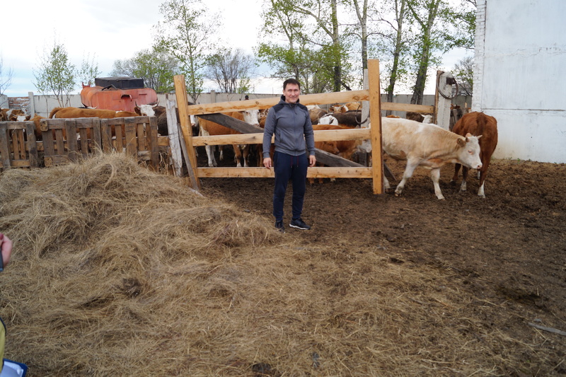 Начинающих фермеров "поддержит" новое руководство республики Хакасия