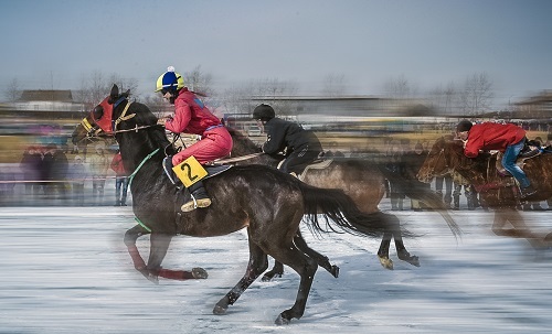 В Хакасии появится собственный конный турнир