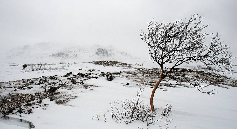 Погода в Хакасии 25 января: Ветер пришел надолго