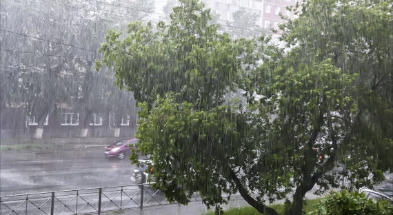 Погода в Хакасии 20 июня: Сильный ветер пригонит в республику дожди