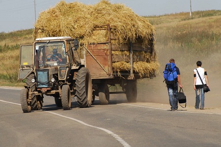 В Хакасии 81 человек изъявил желание стать фермером