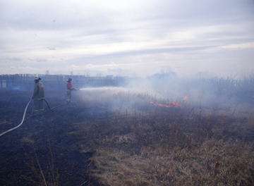 Пятнадцать километров травы тушили пожарные Хакасии