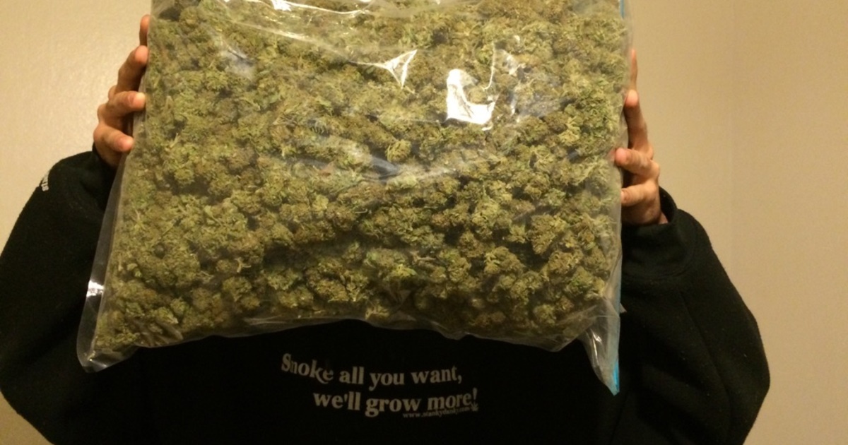 Что будет за пол килограмма конопли ч такое марихуана